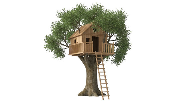 Wooden treehouse built in a large green tree with ladder