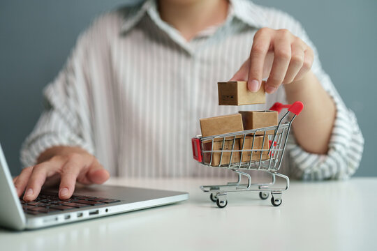 Customer shopping online with a laptop and miniature cart filled with parcels, illustrating secure e-commerce, digital payment and delivery services.