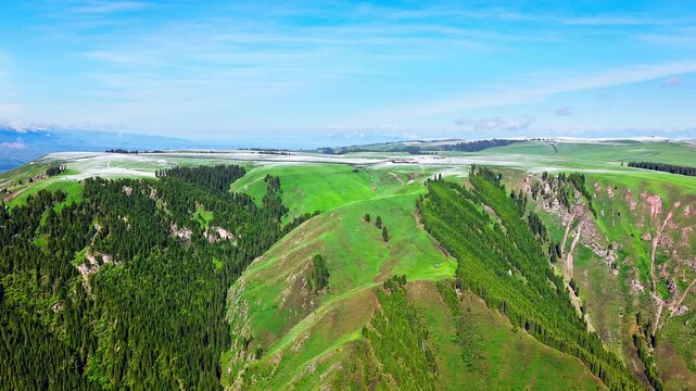 Aerial view of lush green rolling hills and dense forests under a clear blue sky, Kalajun Grassland, Ili, Xinjiang, China.