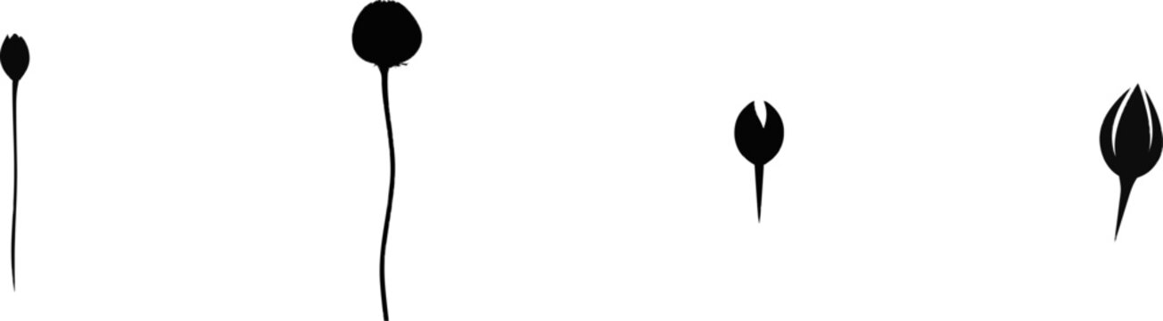 A minimalist flat shape icon of a single daisy bud in black against a white background, devoid of shading or texture
