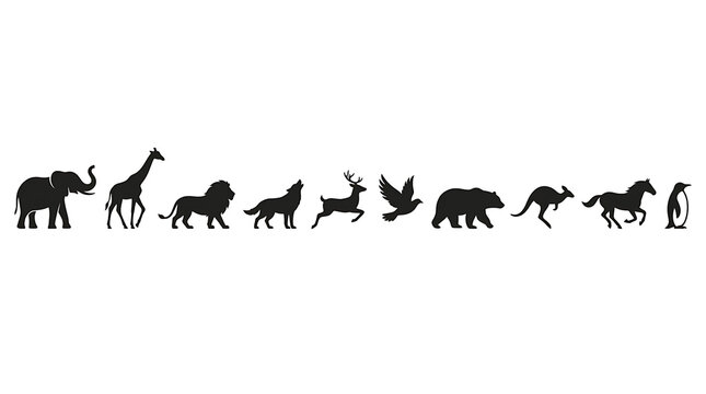 Silhouette Collection of Diverse Wildlife: A striking collection of animal silhouettes, showcasing a variety of creatures from majestic elephants and giraffes to powerful lions and bears.