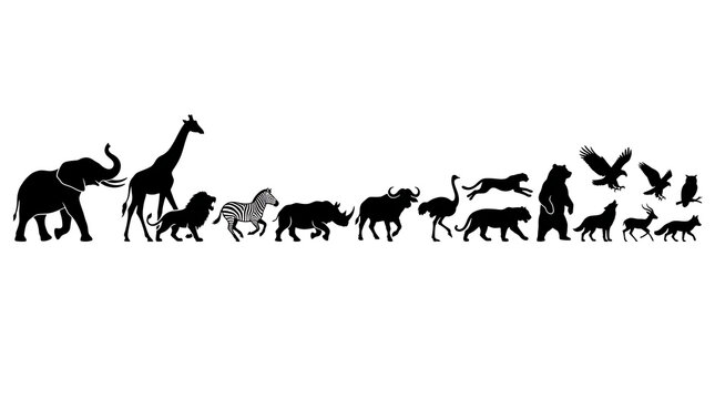 Diverse Wildlife Silhouettes: A collection of iconic animal silhouettes showcasing a variety of species from around the globe, presented in a clean, graphic style.