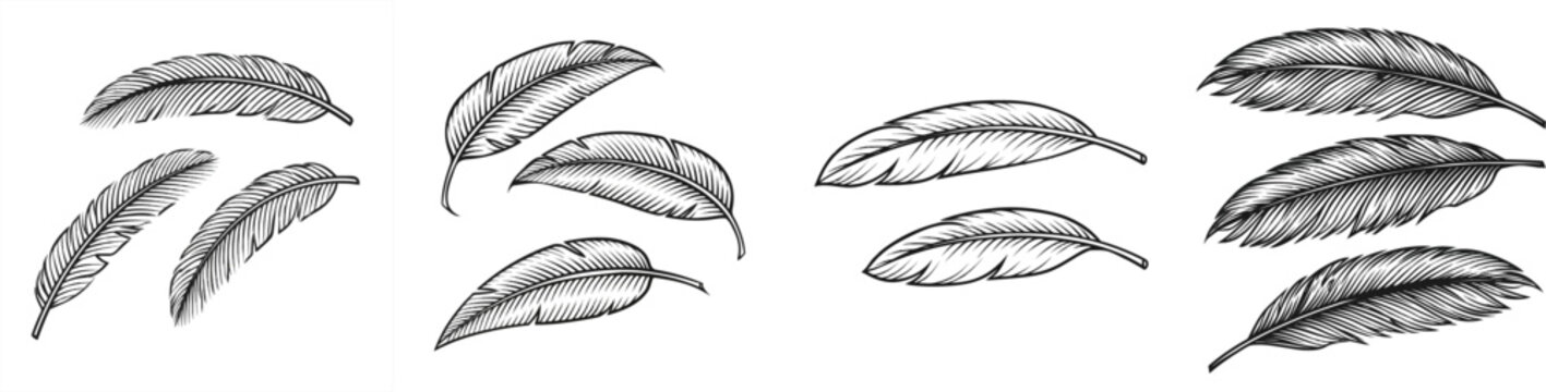 A trio of banana leaf segments in a monochrome black-and-white palette, floating against a white background, showcases the stark geometric ridges and tears along their solid edges