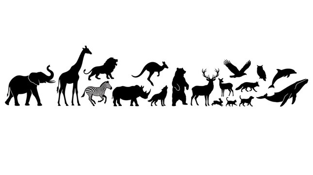 Diverse Wildlife Silhouettes: A collection of diverse animal silhouettes arranged in a line, showcasing a variety of species from elephants and giraffes to lions, kangaroos, bears, deer, wolves.