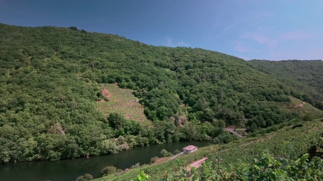 Ribeira Sacra vineyards along Sil river Canyon in Spain