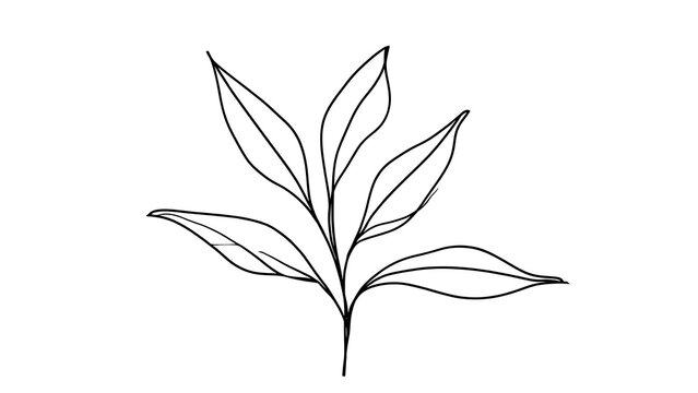 Minimalist leaf drawing on white background.
