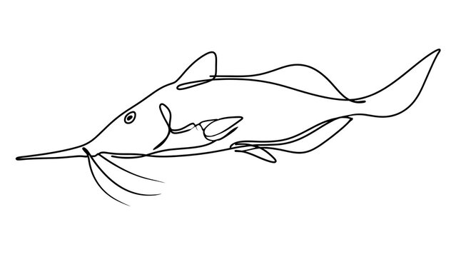 Minimalist line art catfish drawing white background.