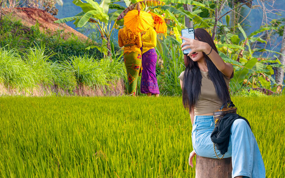 Green rice terrace fields of Jatiluwih in Bali island - Ubud, Indonesia