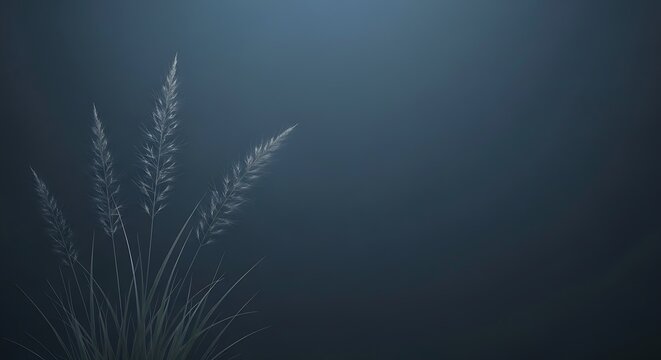 Minimalist wild grass silhouetted against soft dark blue gradient background
