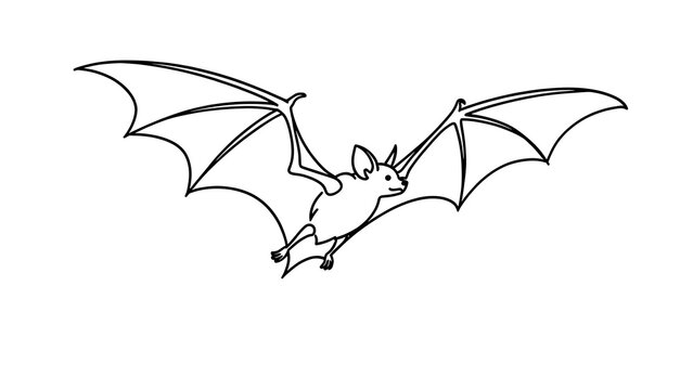 Flying bat illustration on white background.
