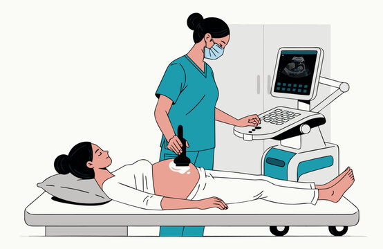Medical vector illustration of a doctor performing an ultrasound on a pregnant woman in a clinic