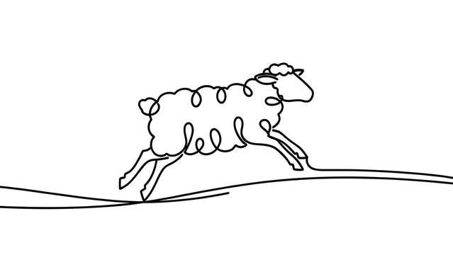 Simple line art sheep drawing white background.