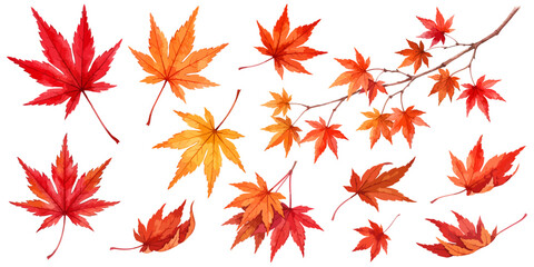 Naklejka na ściany i meble 紅葉とモミジのイラストセット,水彩風のカエデ・枝付き・落ち葉・赤と黄色のグラデーション・もみじの葉、秋の行楽・紅葉狩り・和風デザイン販促POP素材、手描きボタニカルカットイラスト,ベクター