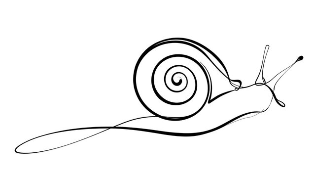 Minimalist snail line art drawing white background.