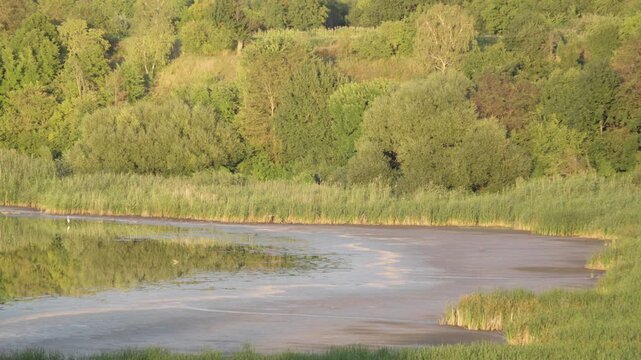 Drought Causes a Lake to Dry Up, Exposing the Lakebed