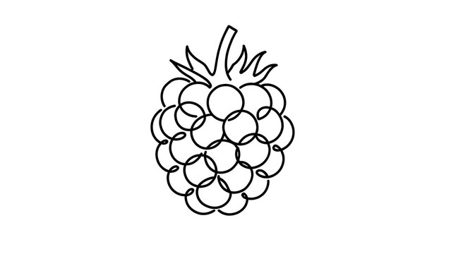 Black and white raspberry illustration on white background.