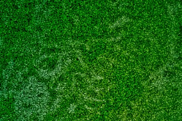 Fototapeta premium Abstract colors dark green background rough surface with blank copy space for design element