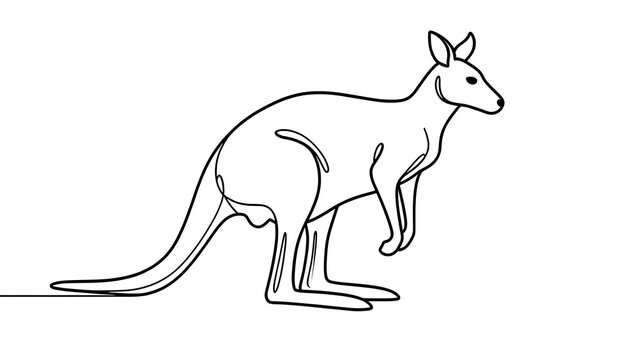 Minimalist kangaroo line art illustration white background.