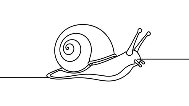 Minimalist snail line art drawing white background.