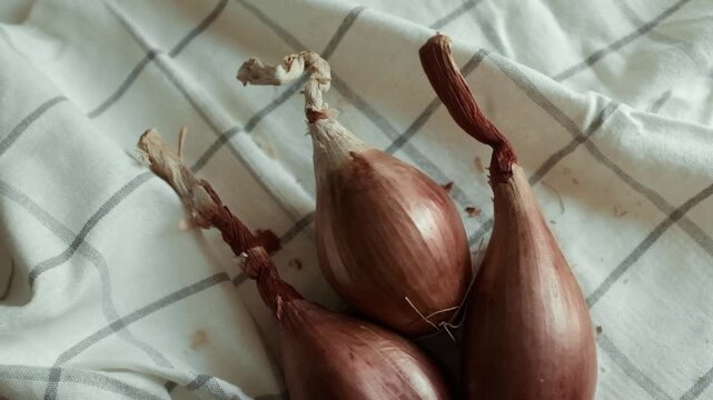 Whole echalion banana shallots with dry, papery peel rests tied together on a white grid-patterned kitchen linen. For cooking shows, culinary blogs, recipe tutorials, organic farming promotions.