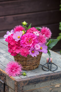 Blumen-Arrangement mit pink Dahlie, Sommerastern, Schmuckk&ouml;rbchen, Rosen und Hortensienbl&uuml;ten im Korb	
