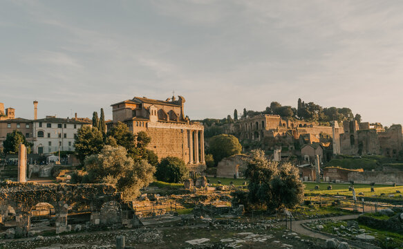 Vista de los Foros Imperiales de Roma al atardecer, combinando ruinas arqueol&oacute;gicas, columnas cl&aacute;sicas y vegetaci&oacute;n
