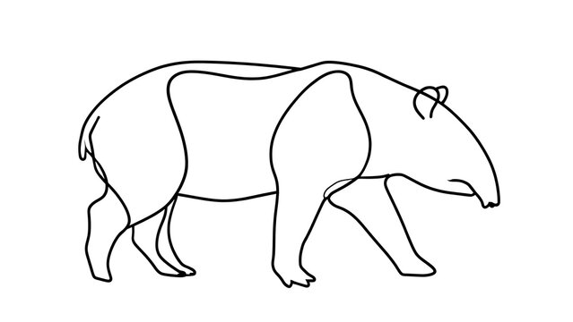 Simple line drawing of a tapir on white background.