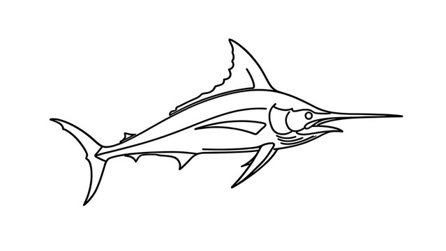 Sleek marlin fish illustration on white background.