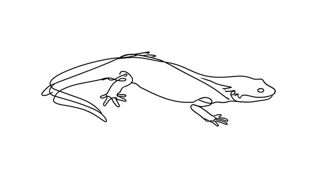 Minimalist frog line art illustration white background.