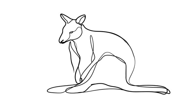 Minimalist kangaroo line art illustration white background.