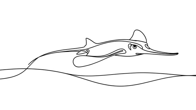Minimalist manta ray line art white background.