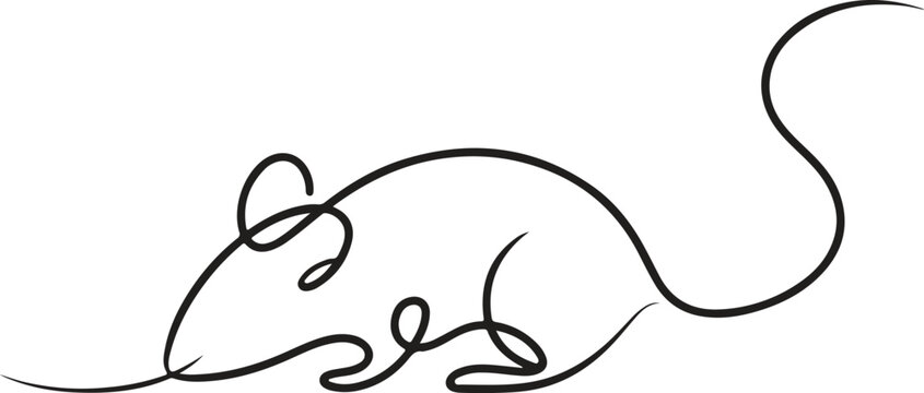 Continuous line drawing of a mouse, simple minimalist animal illustration