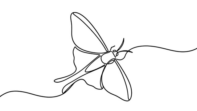 Minimalist butterfly line art on white background.