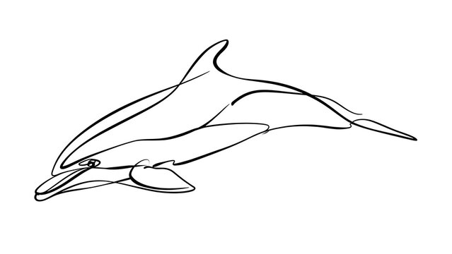 Minimalist dolphin line art illustration white background.