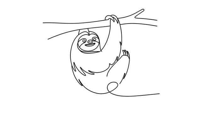 Sloth hanging from branch white background.