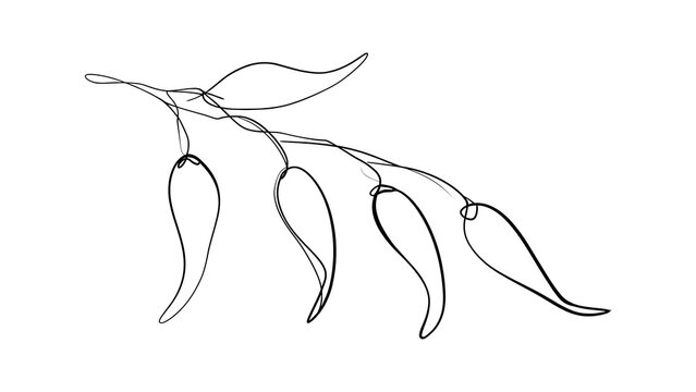 Minimalist line art peppers white background.