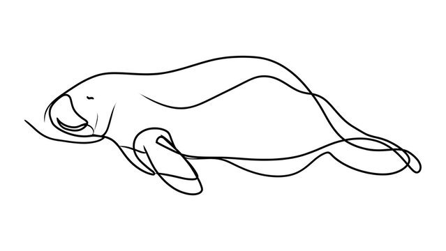 Minimalist manatee line drawing white background.