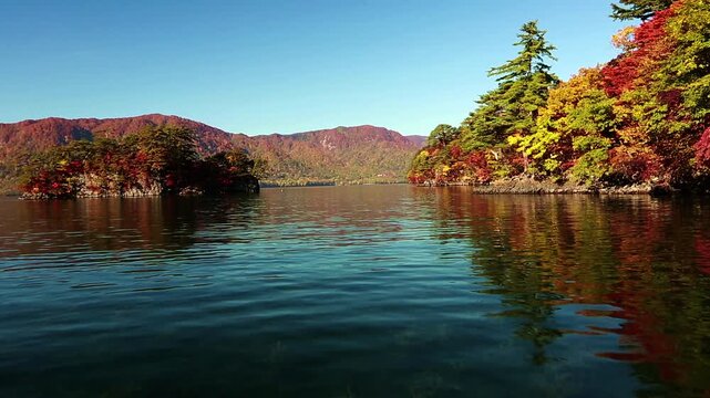 十和田湖湖上から見た湖畔の紅葉