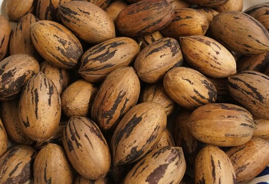 Close-up of unshelled pecans showing natural brown shells with dark streaks tightly packed together.