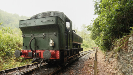 Old green train car moves slowly through forested tracks © Oneworld-images