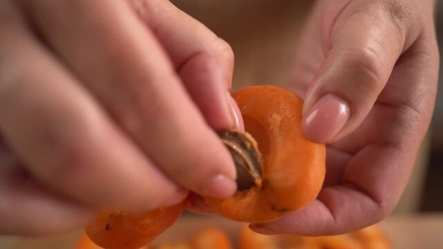 Female Hands Splitting Apricots for Homemade Baking Desserts
