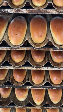 Assortment of freshly baked bread displayed in a bakery. Vertical UGC 