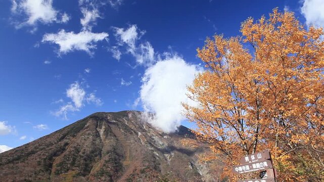 風になびく紅葉と男体山