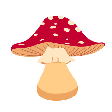 Red fly agaric mushroom vector illustration isolated on white background