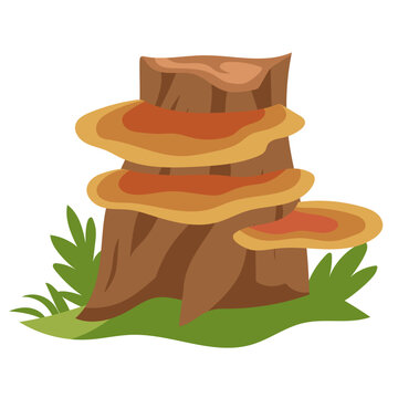 Shelf fungus bracket mushroom on tree stump vector illustration
