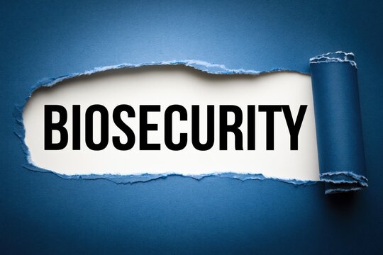 Black text biosecurity written under torn blue paper