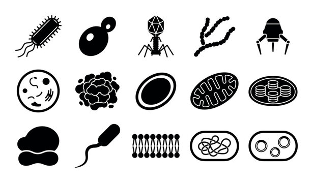 Microbiology and cell biology vector icons with bacteria, virus and mitochondria for scientific infographic in solid glyph style