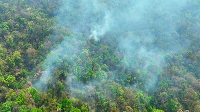 Aerial forest landscape with fire smoke drifting through trees, symbolizing deforestation threats, natural disaster response, climate resilience, and environmental risk management. 4k.

