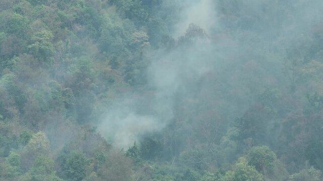 Aerial forest landscape obscured by wildfire smoke, illustrating global warming consequences, habitat destruction, poor air quality, and sustainable forest protection initiatives. 4k.
