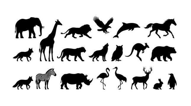 Diverse Wildlife Silhouette Collection: A comprehensive set of black animal silhouettes, including an elephant, giraffe, lion, and various birds.